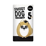 Smart Dog    60*40 . 5 .