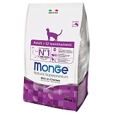 Monge Cat Daily Line  