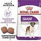 Royal Canin Giant Adult.  �2