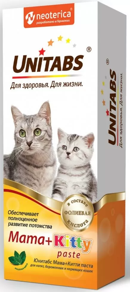 Купить Кошку В Магазине В Москве