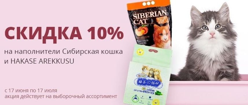 Сибирская кошка - скидка 10%
