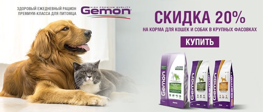 Gemon скидка 20% на корма для кошек и собак крупных фасовок 