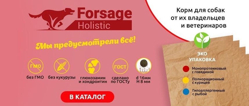 Новинка - FORSAGE Holistic