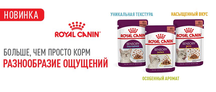 Новинка - Royal Canin Sensory