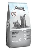 Karmy British Shorthair Kitten