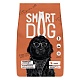 Smart Dog      