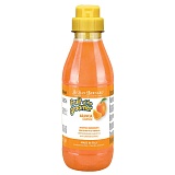 Iv San Bernard Fruit of the Groomer Orange Shampoo 500 