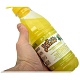 Iv San Bernard Fruit of the Groomer Ginger&Elderbery Shampoo 1 .  �2