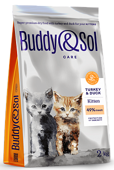 Buddy&Sol CARE KITTEN      