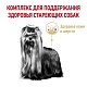 Royal Canin Yorkshire Terrier Adult 8+. Фото пїЅ2