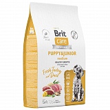 Brit Care Dog Puppy&Junior M Healthy Growth