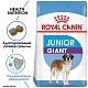 Royal Canin Giant Junior.  �2