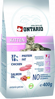 Ontario Kitten