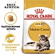 Royal Canin Maine Coon Adult.  �2