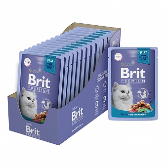 Brit Premium        85 ..  �4