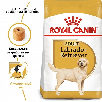 Royal Canin Labrador Retriever Adult.  �2