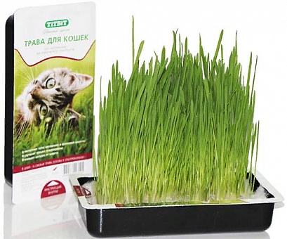 Titbit трава для кошек овес