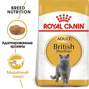 Royal Canin British Shorthair Adult.  �2
