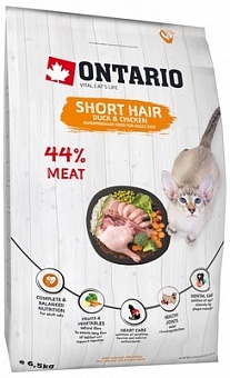 Ontario Cat Shorthair
