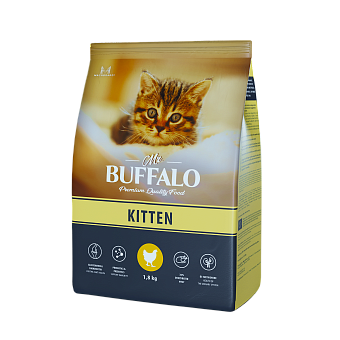 Mr. Buffalo Kitten  