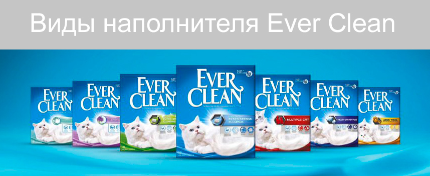   Ever Clean