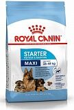 Royal Canin Maxi Starter mother & babydog