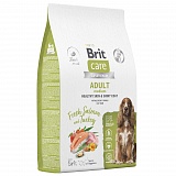 Brit Care Dog Adult M Healthy Skin Shiny Coat